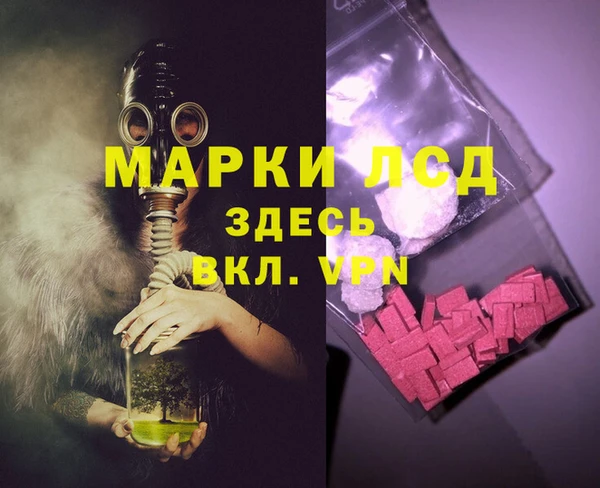 спиды Аркадак