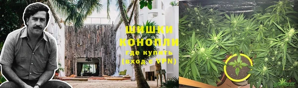 винт Арсеньев