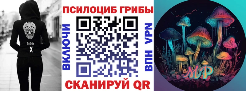 Псилоцибиновые грибы мицелий  закладки  Саров 